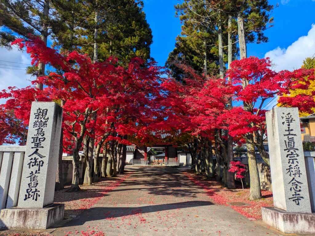 Best Places to Visit in Japan in 2026: 25 Amazing Must-See Gems Stunning red Japanese maple trees in autumn in Sendai, Japan.